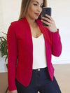 Small Suit Long Sleeve Cardigan Jacket Top