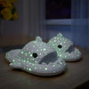 Luminous Shark Slippers - Jimi Brothers 